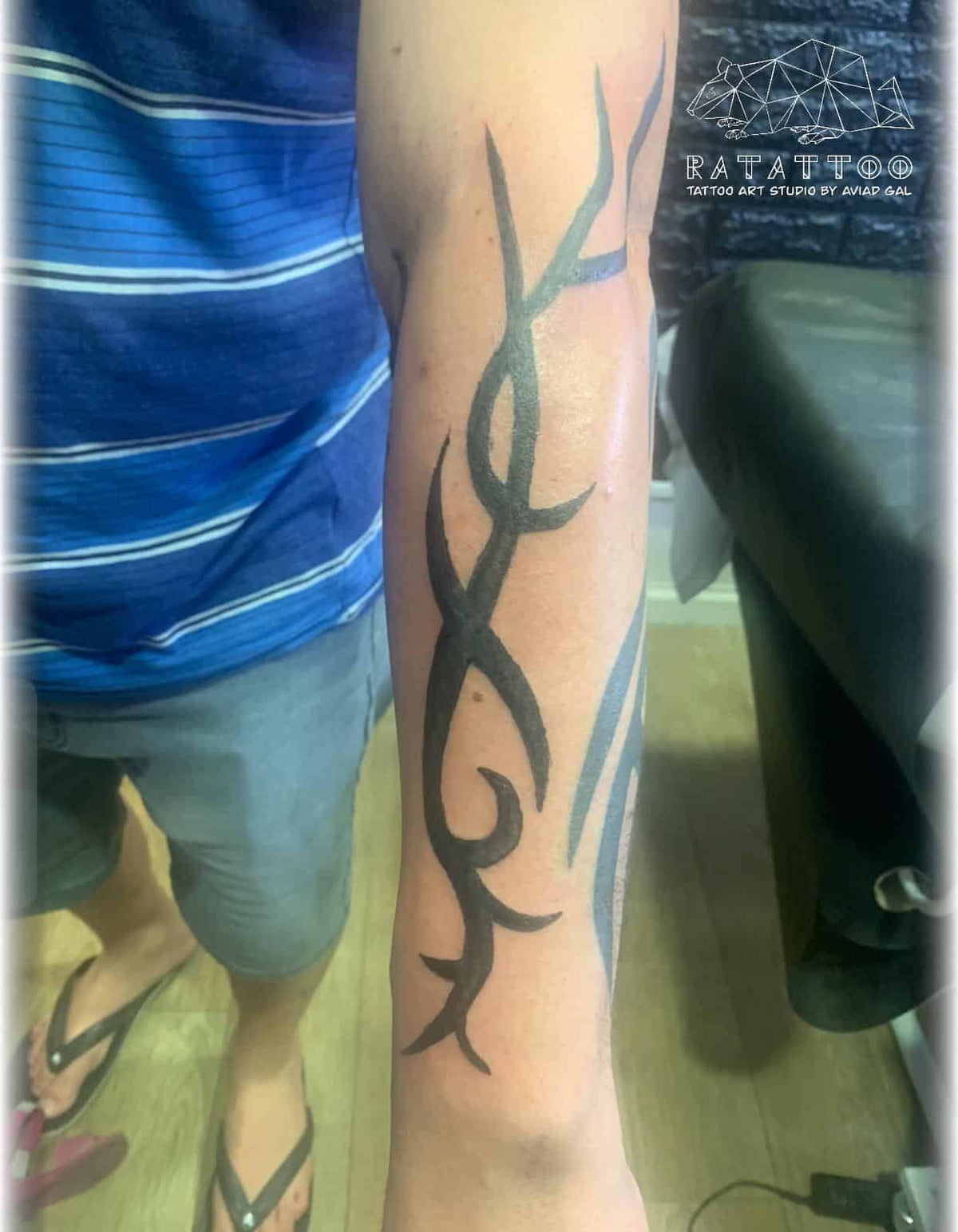 ratattoo-tribal-tattoo.jpeg